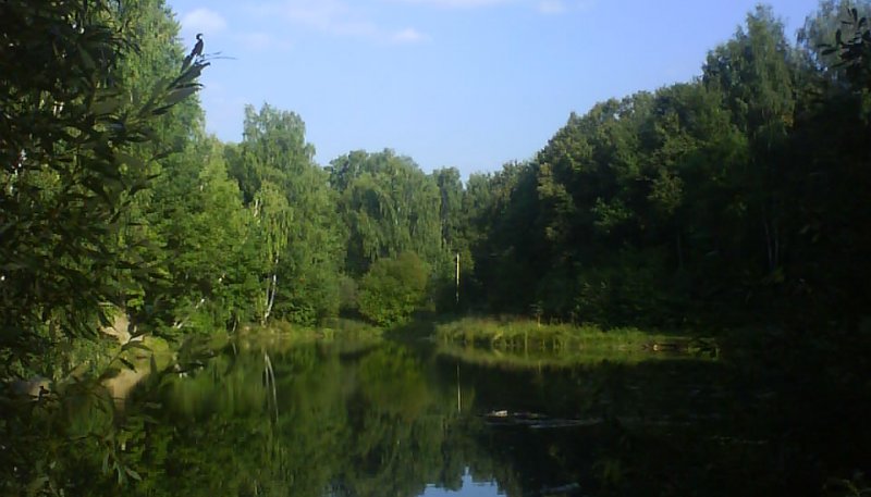 Площадка для воркаута в городе Арзамас №2148 Маленькая Советская фото